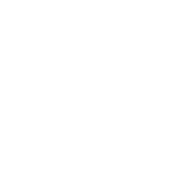 Gami