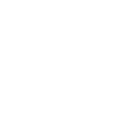 Odyssey Digital AM