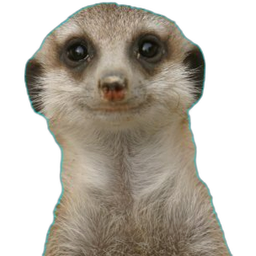 The Crypto Meerkat